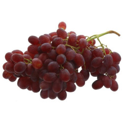 RAISIN ROSE SEEDLESS EL CIRUELO 4,5KG